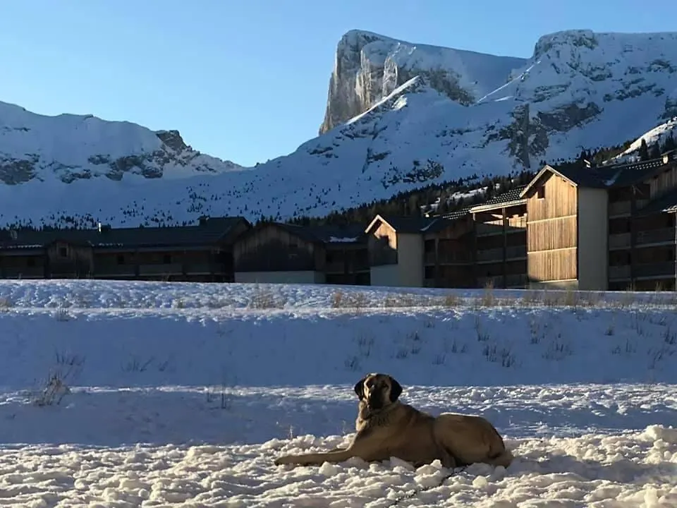 Les Chalets De Superd, Apt 7-9 Personnes Le Devoluy Apartment